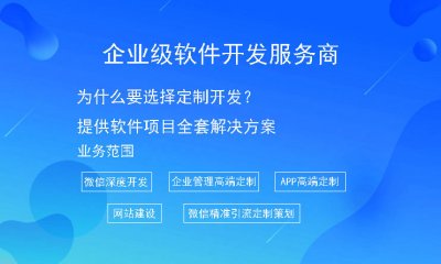 為什麼要選擇定制開發？