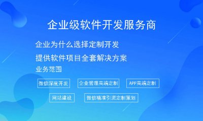 企業(yè)為什麼選擇定制開發