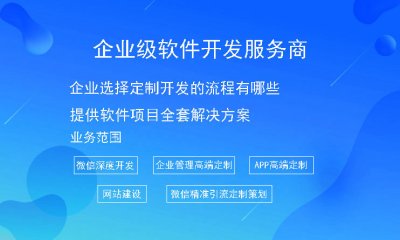 企業(yè)選擇定制開發的流程有哪些