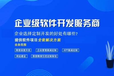 企業(yè)選擇定制開發的好處有？