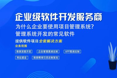 為什麼企業(yè)要使用項目管理系統？ 管理系統開發的常見軟件