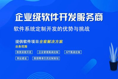 軟件系統定制開發的優勢與挑戰