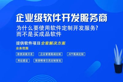 為什麼要使用軟件定制開發服務?而不是買成品軟件