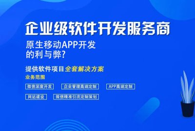 原生移動(dòng)APP開發的利與弊?