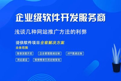 淺談幾種網站(zhàn)推廣方法的利弊